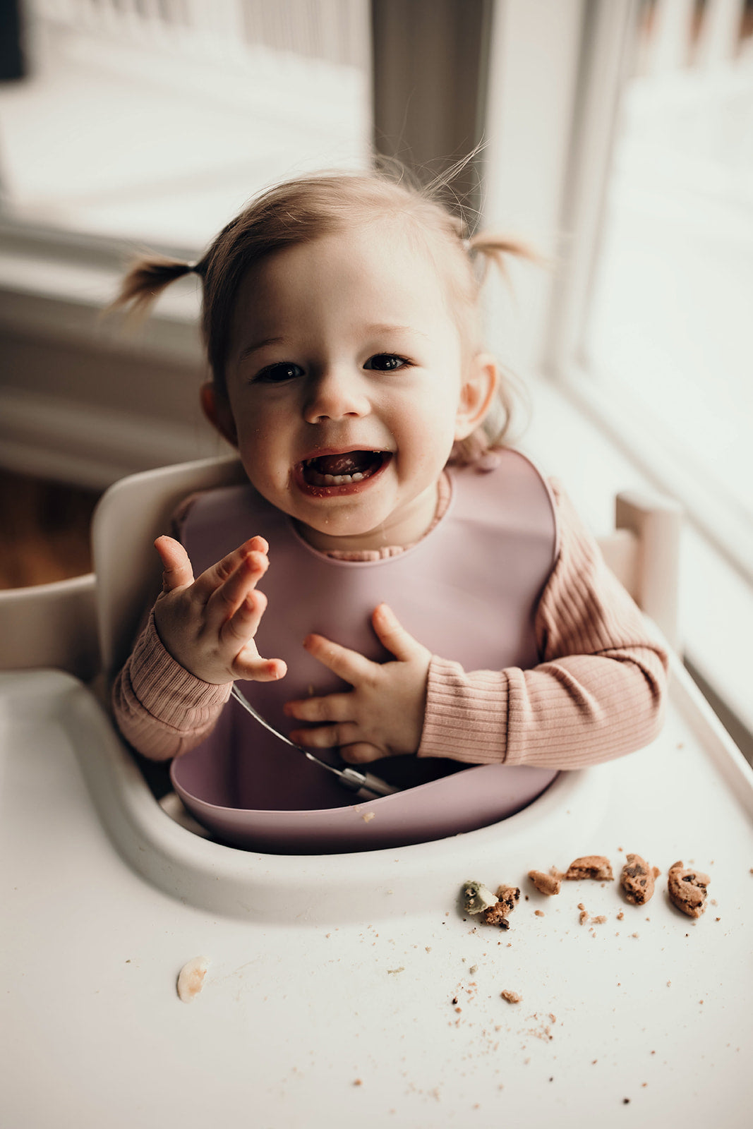 Lilac Silicone Bib With Crumb Catcher