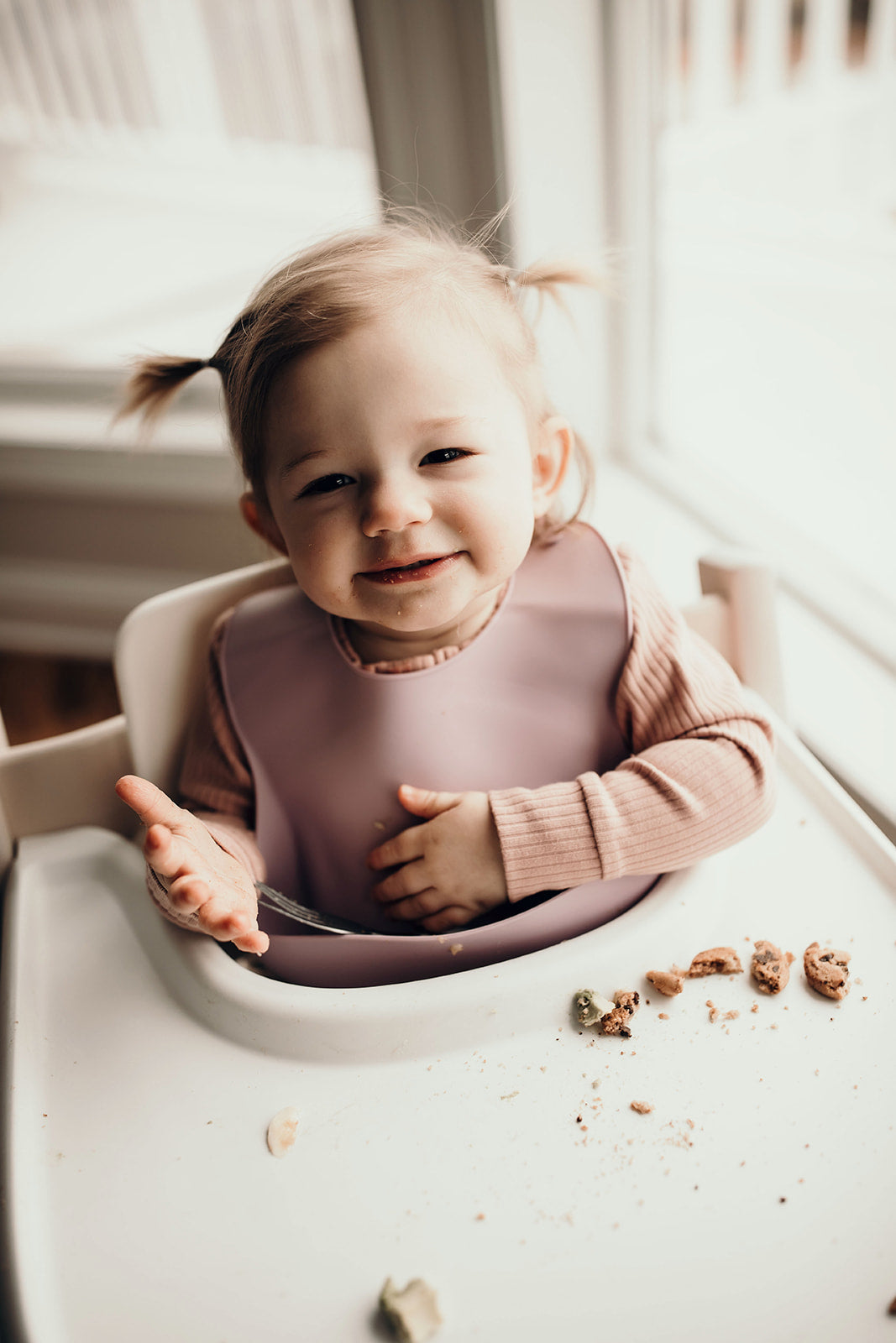 Lilac Silicone Bib With Crumb Catcher
