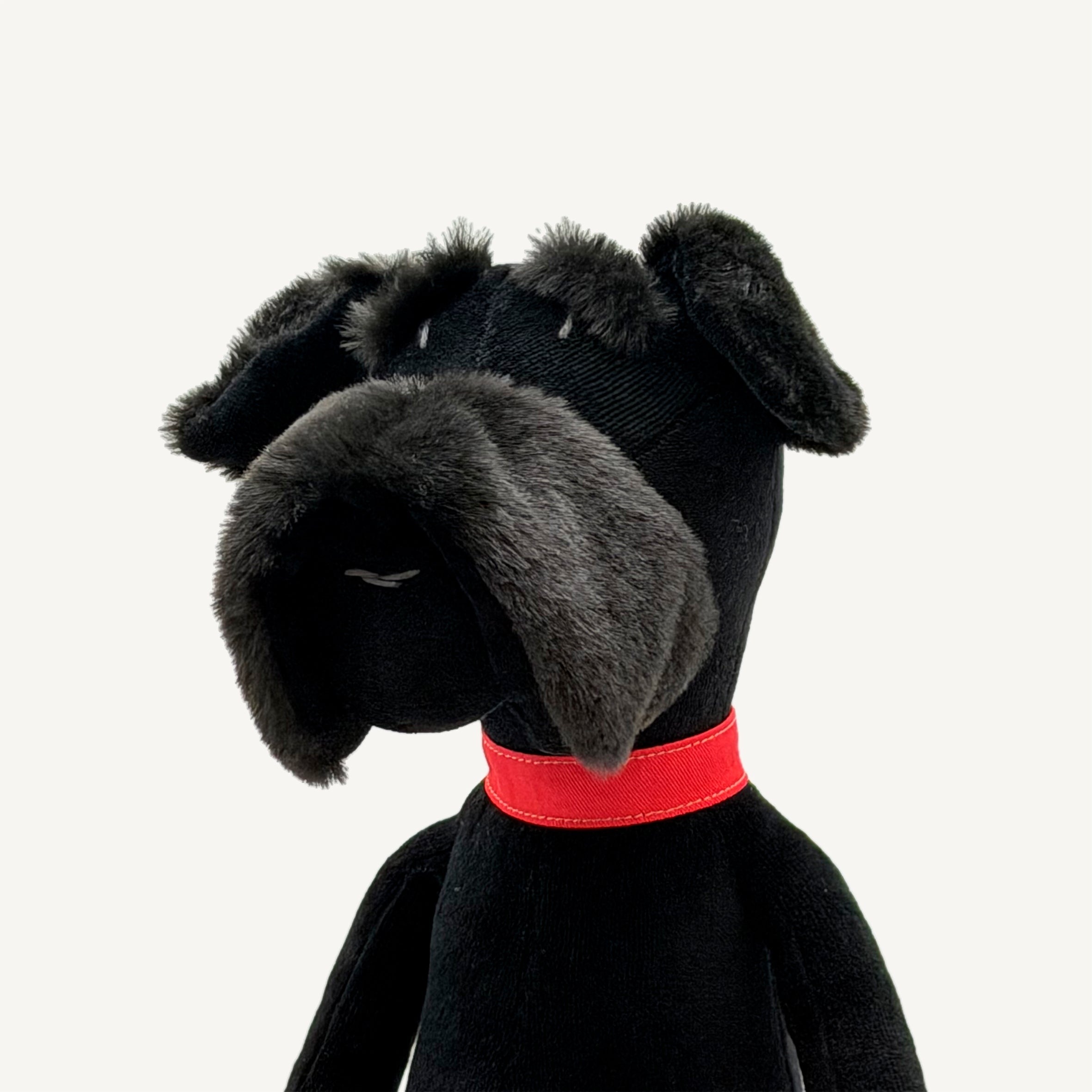 Sascha The Schnauzer - L