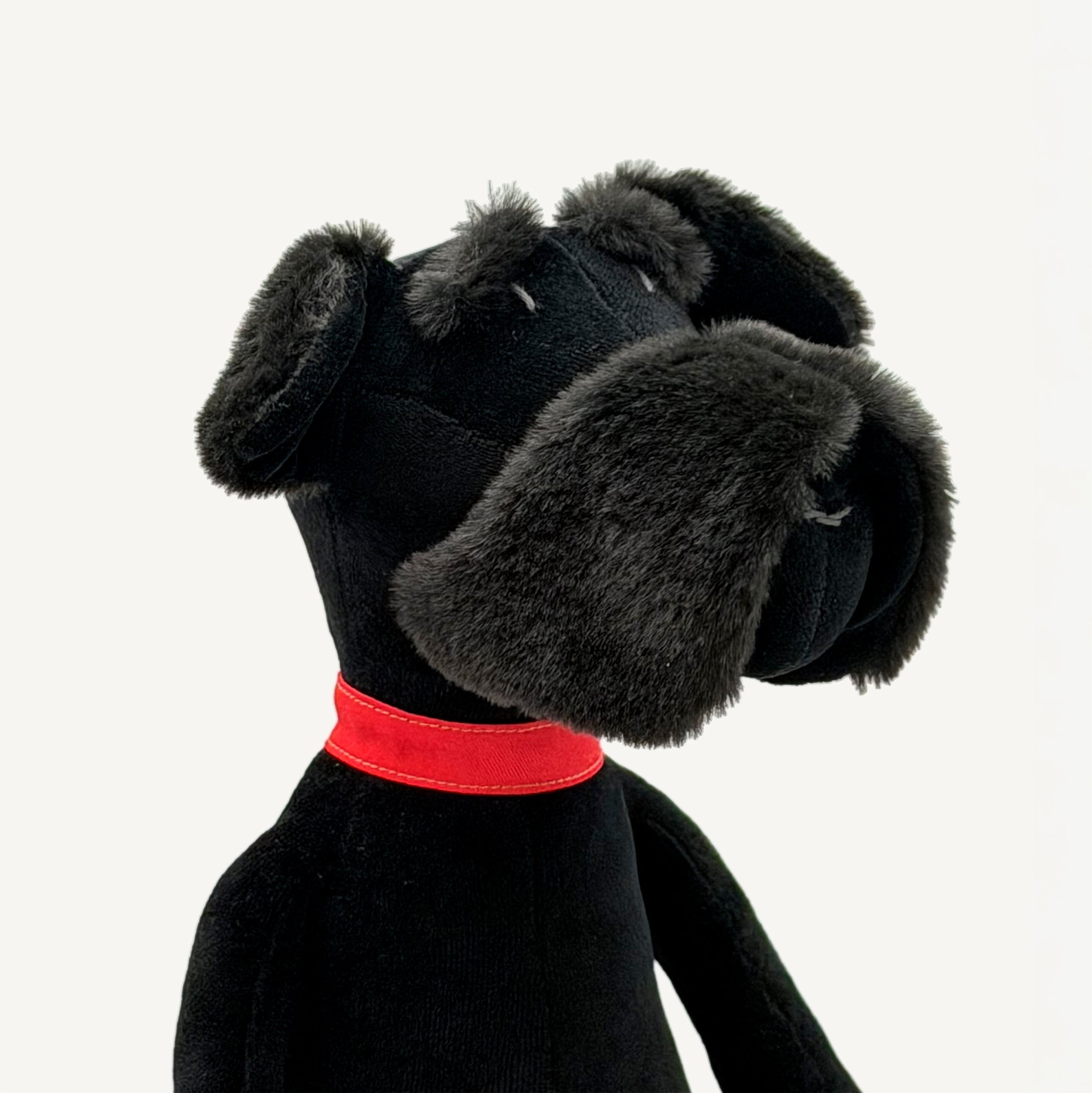 Sascha The Schnauzer - L