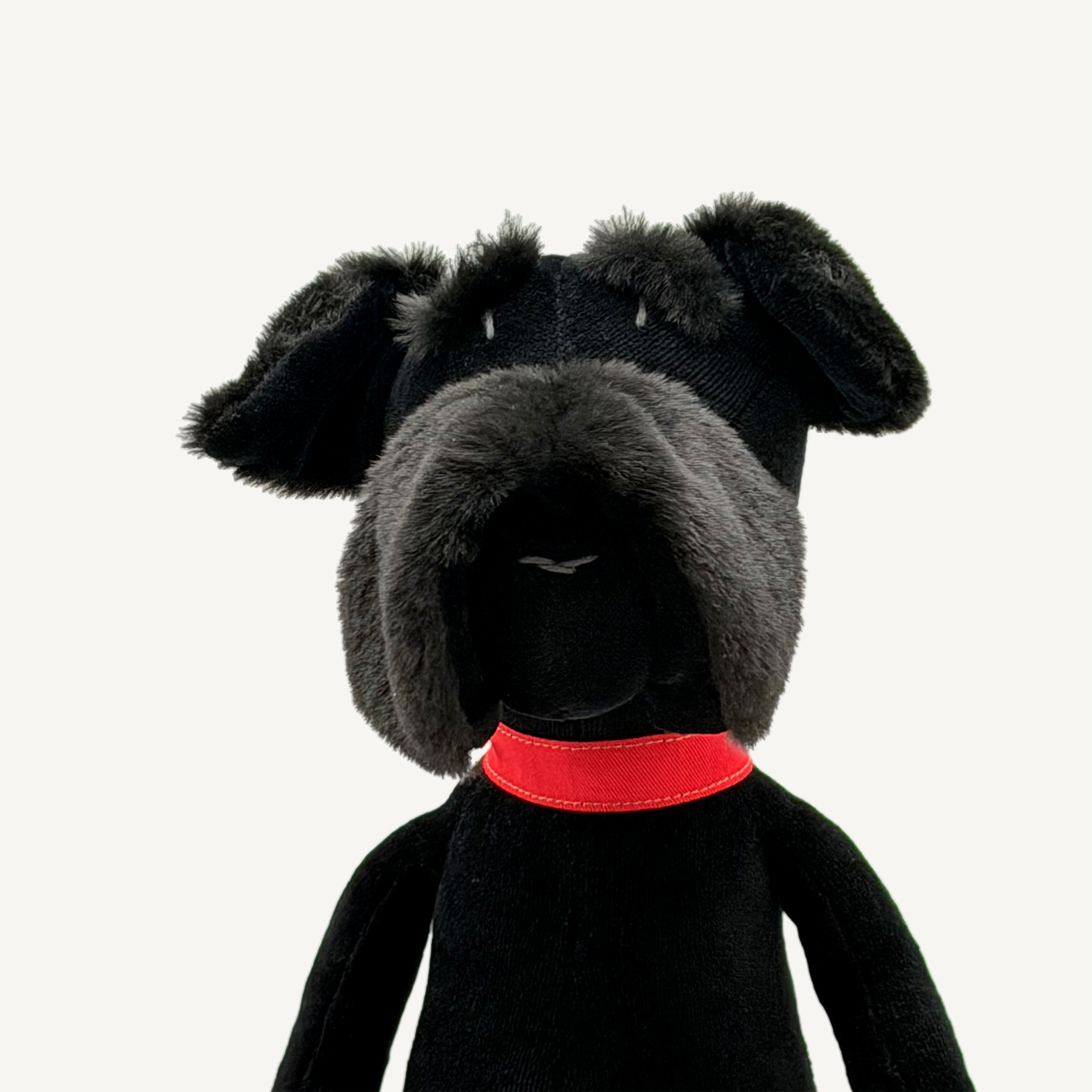 Sascha The Schnauzer - L