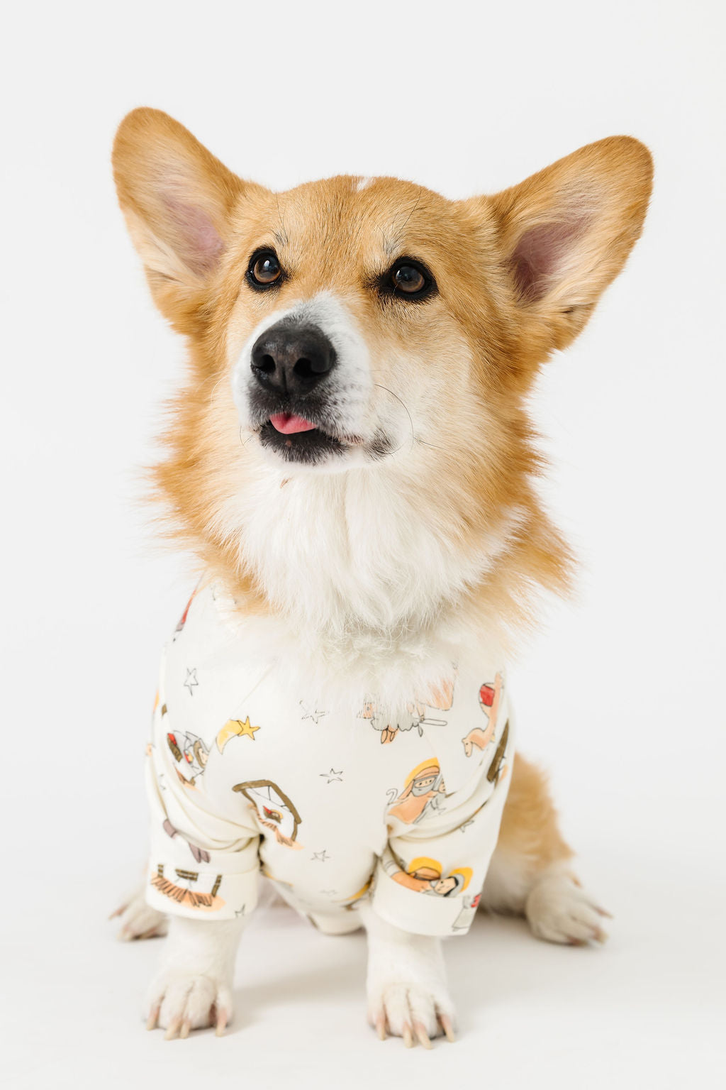 Away In A Manget Pet Pullover Cotton