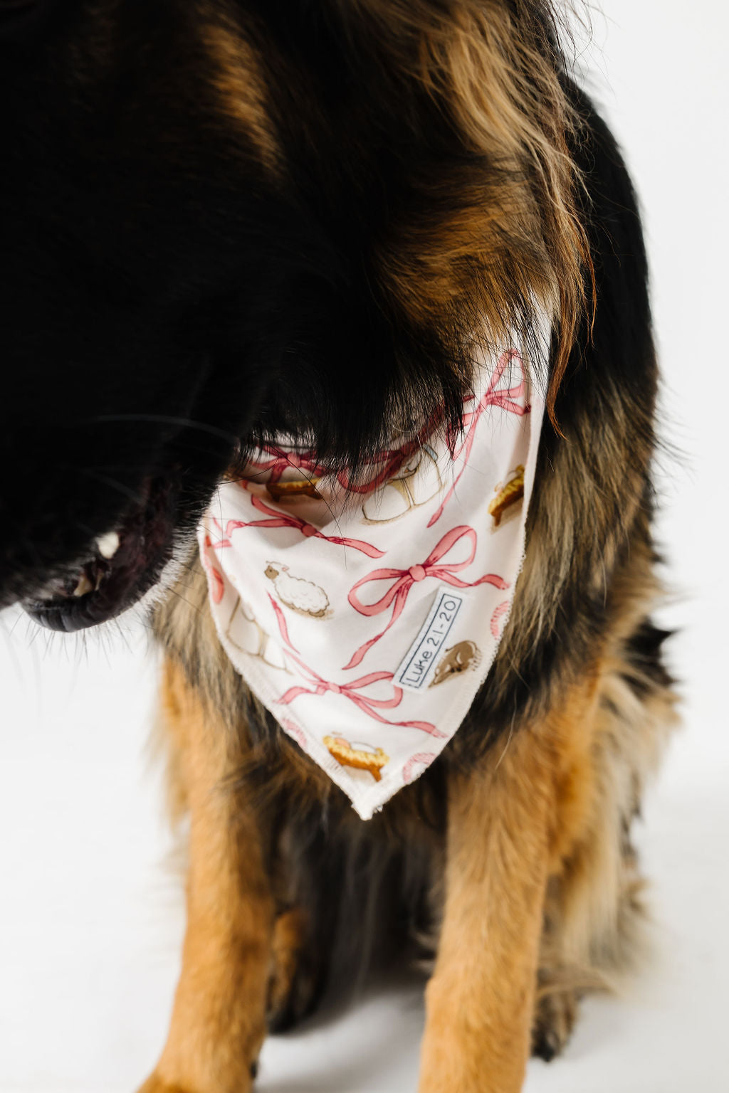 Let Us Adore Him Pet Bandana Bamboo