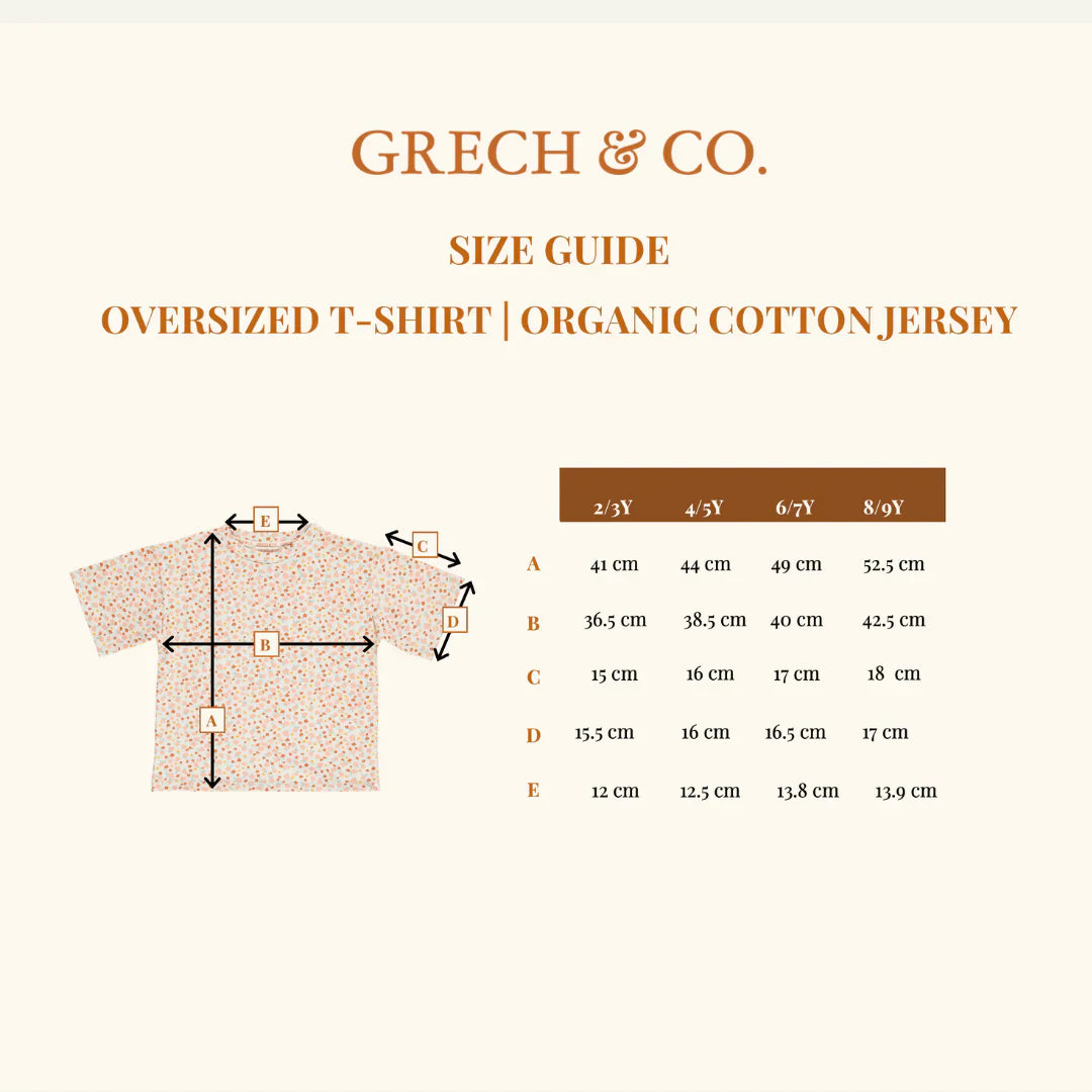 Oversized T-shirt | Organic Cotton Jersey - Pegasus