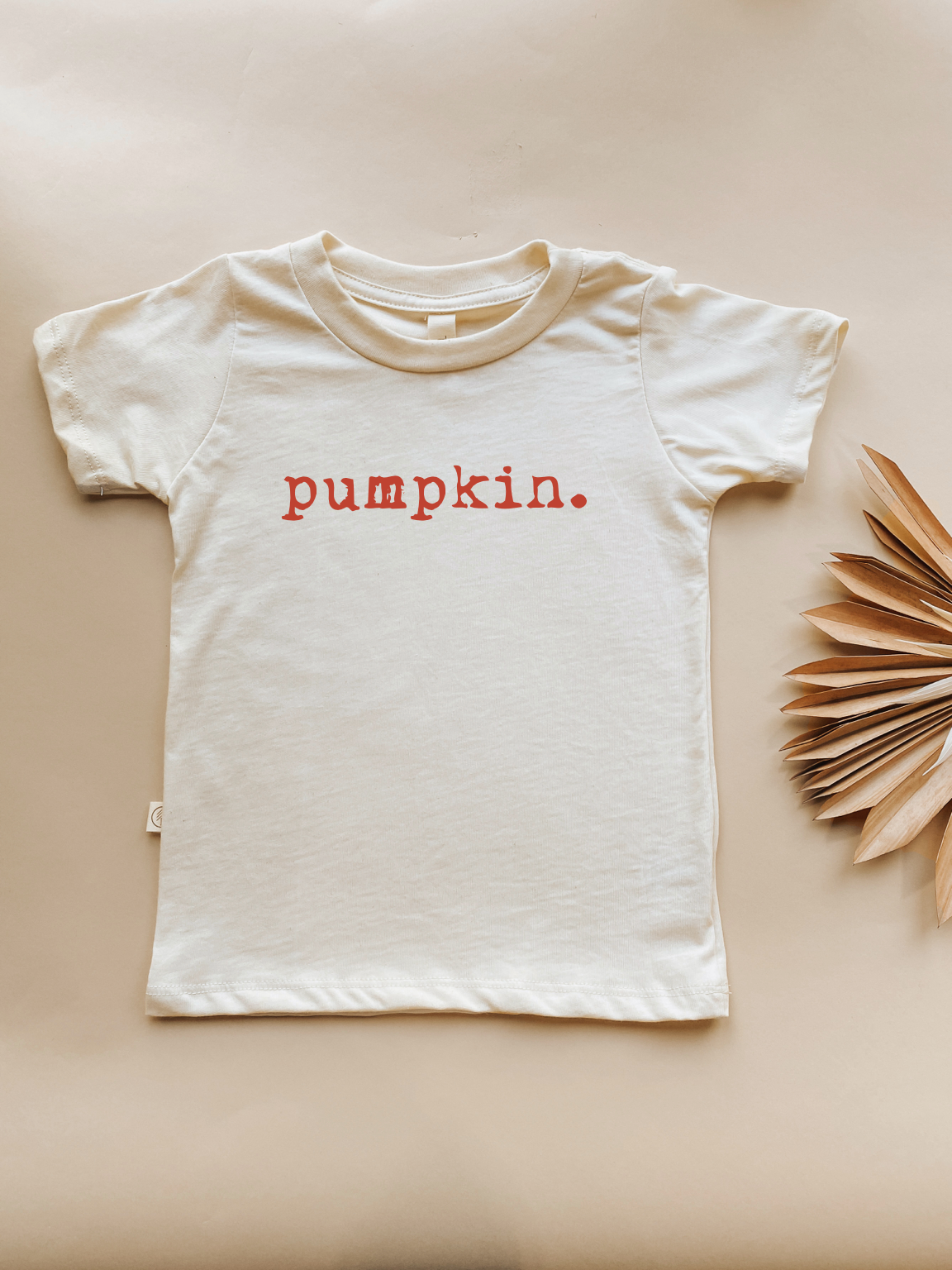 Pumpkin Organic Kids T-shirt
