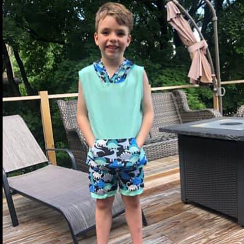 Al Limited Boys Dinosaur Hoodie Kangaroo Pocket Short Set Outfit