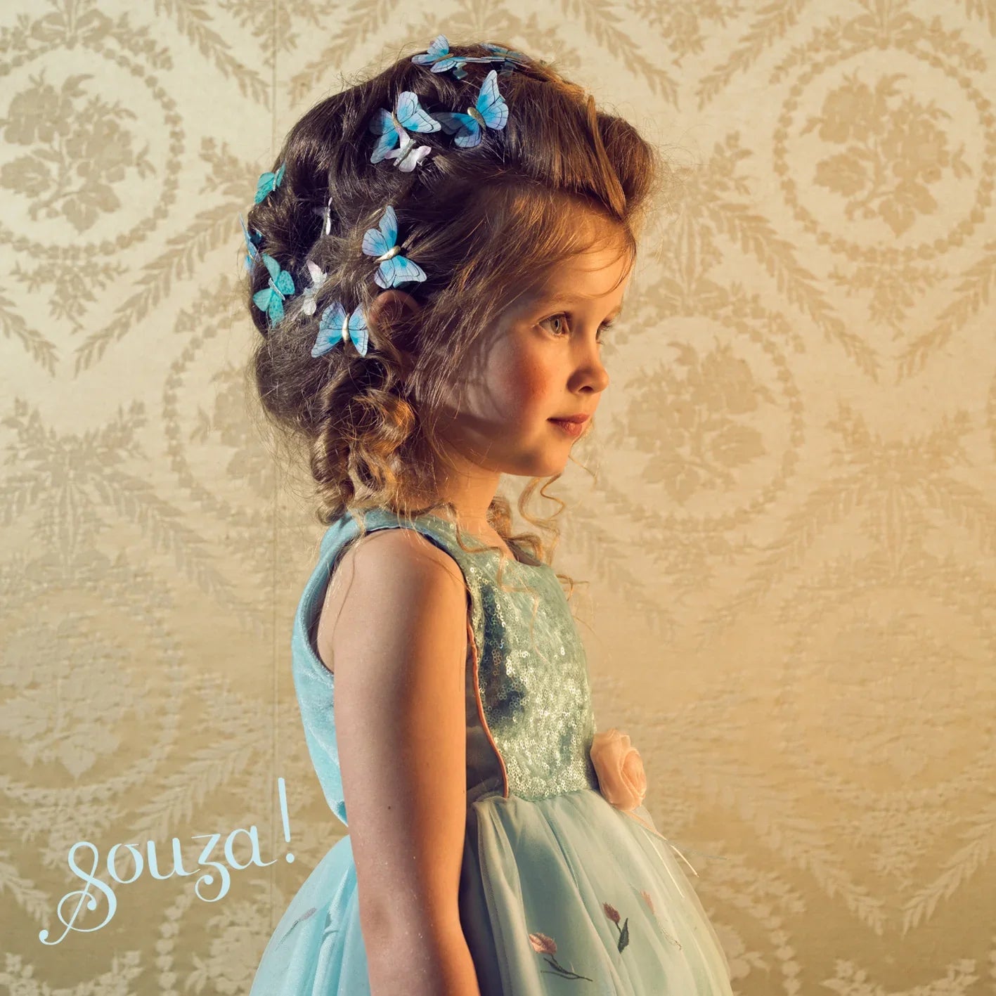 Nicolette Fancy Dress - Special Event Apparel For Girls (2 Sizes)