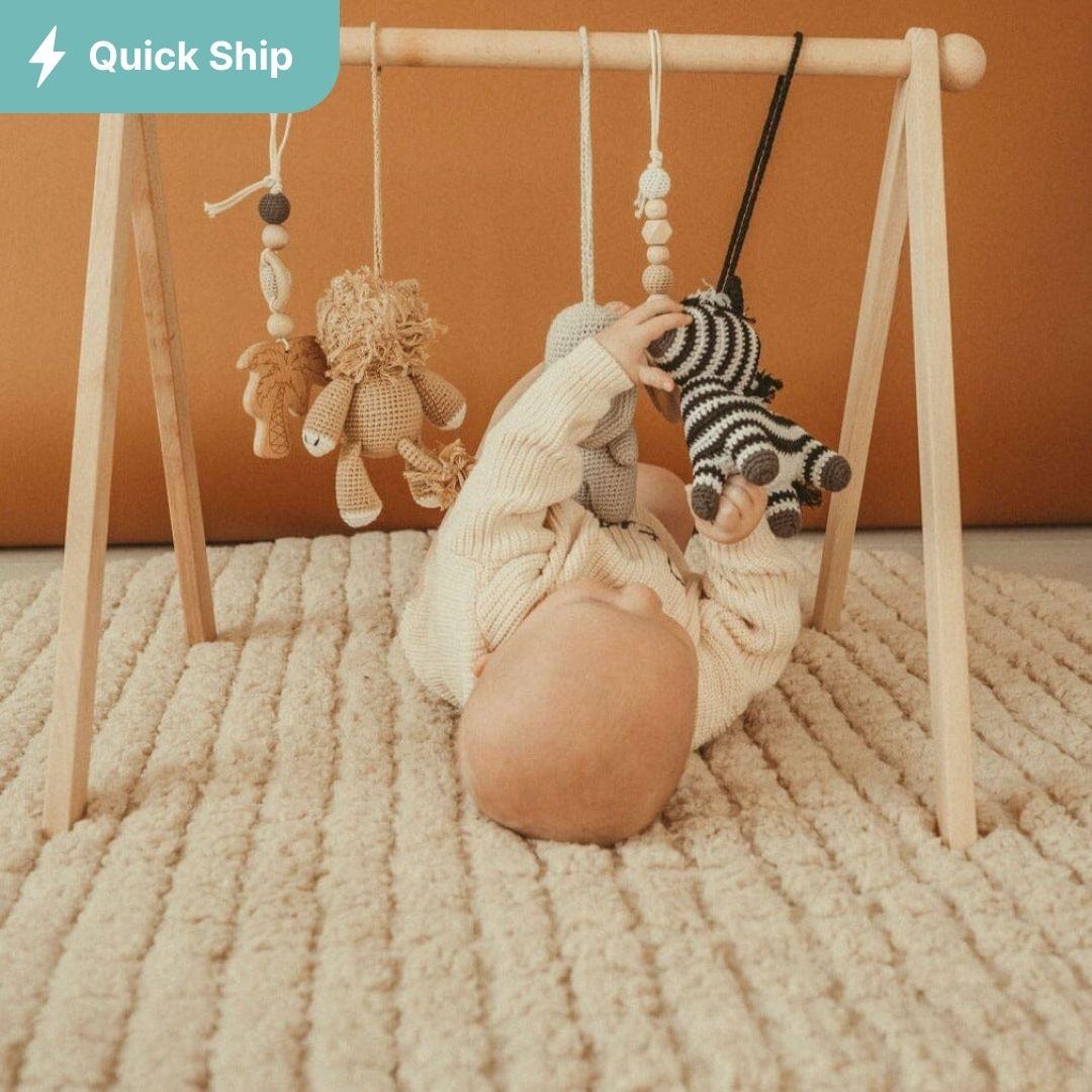 Baby Activity Gym & Crochet Toys
