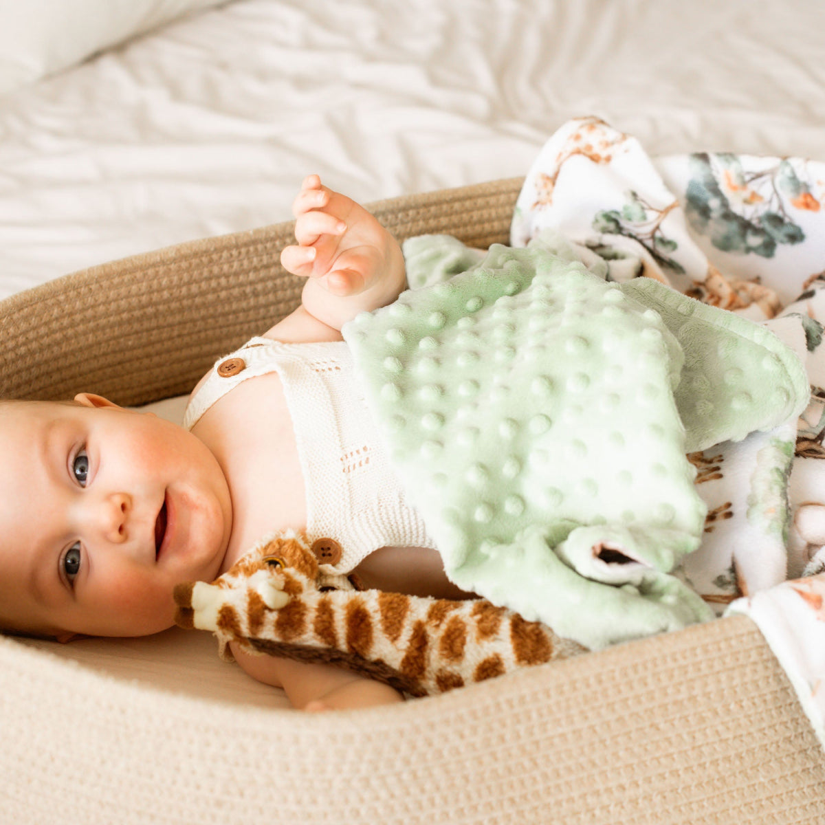 Minky Baby Blanket Safari Adventure