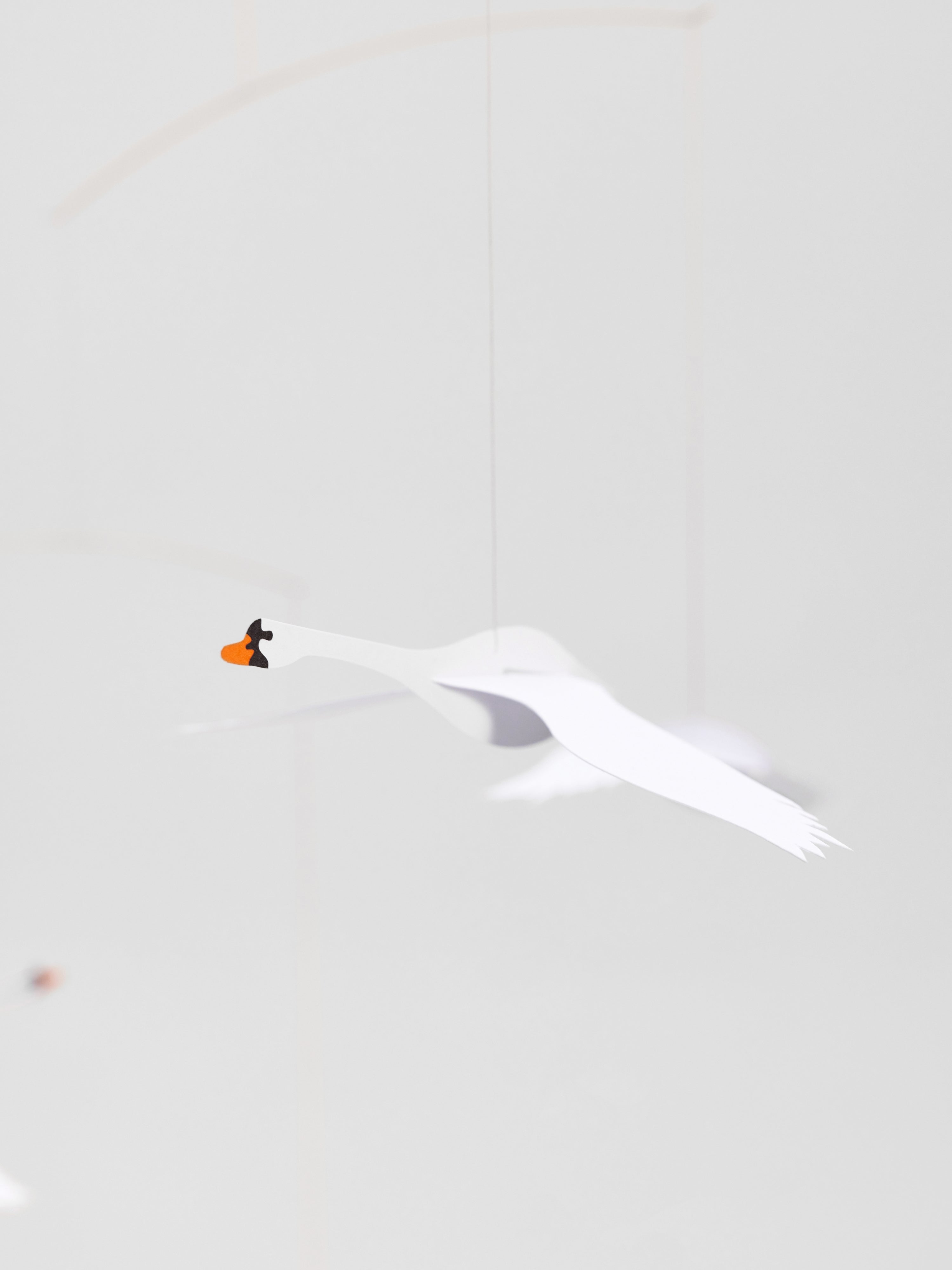 Scandinavian Swans.