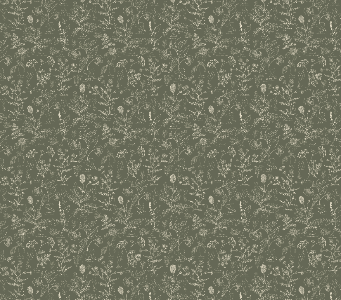 Caraway Wallpaper By Danelys Sidron