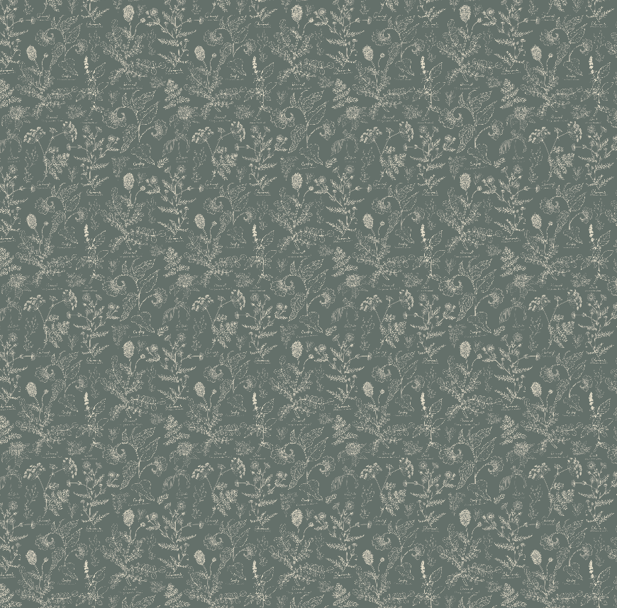 Caraway Wallpaper By Danelys Sidron