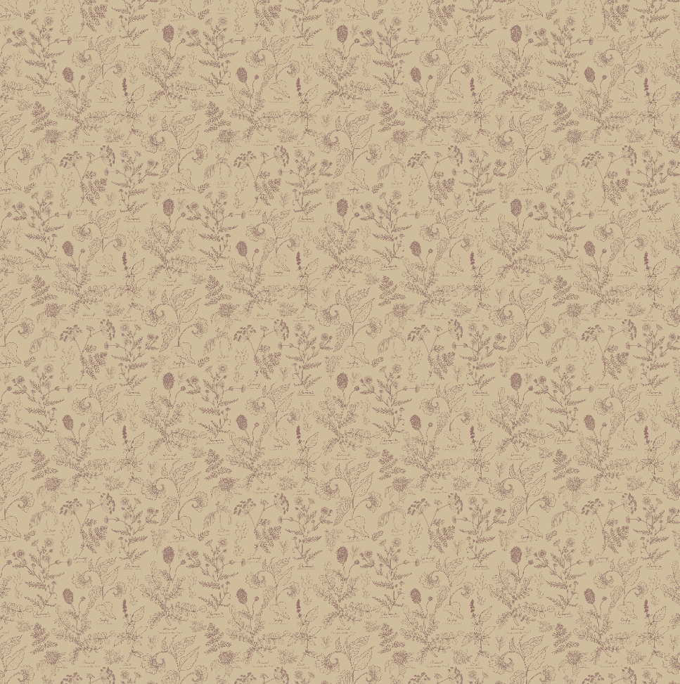 Caraway Wallpaper By Danelys Sidron