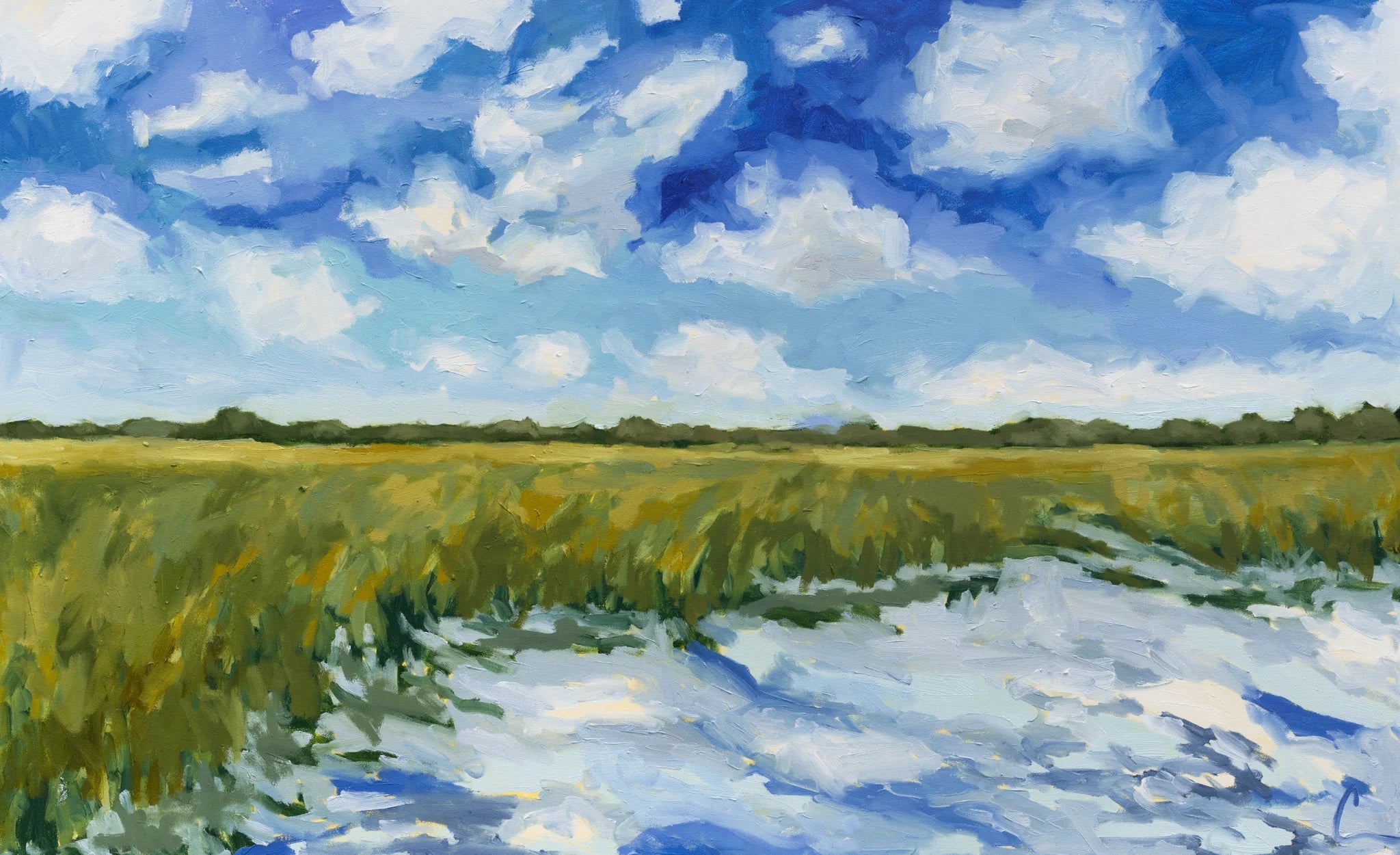 Ashley River View Print