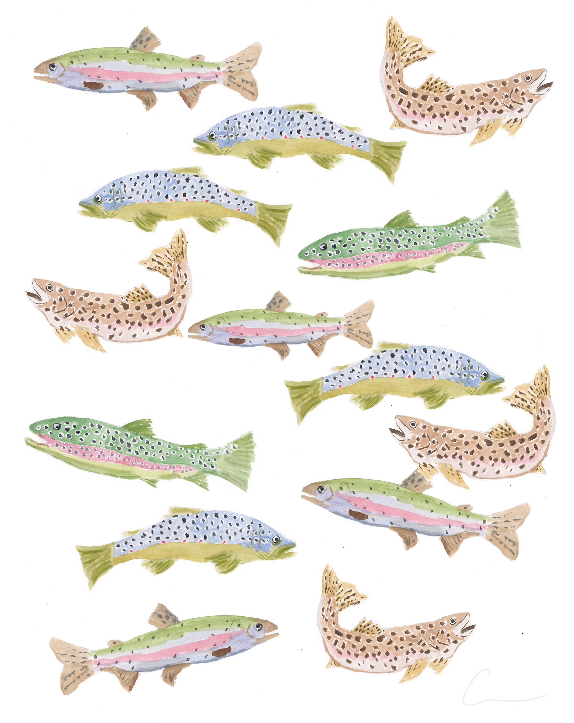 Trout Hover Print