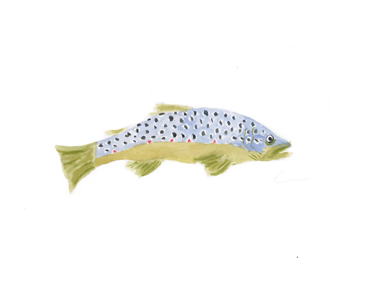 Trout 4 Print