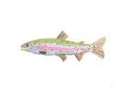 Trout 1 Rainbow Print