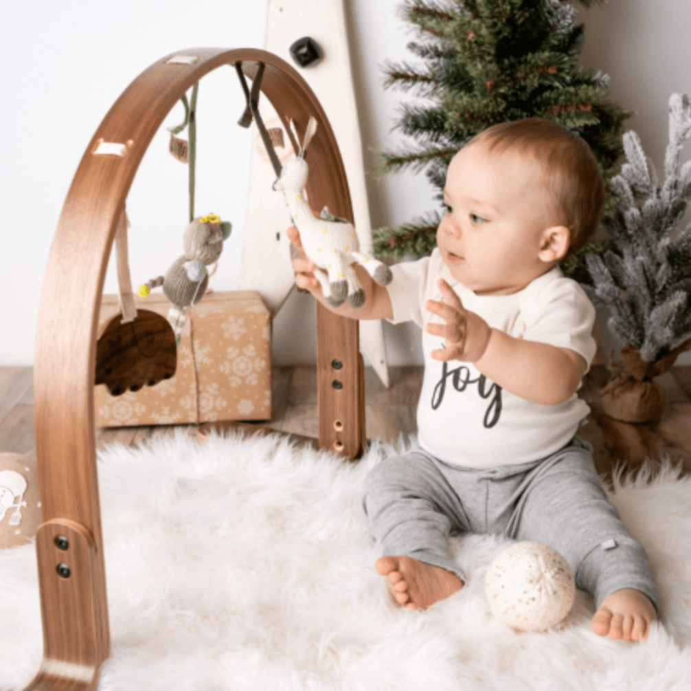 2 Pc. Stroller Toys | Amelia & Piper