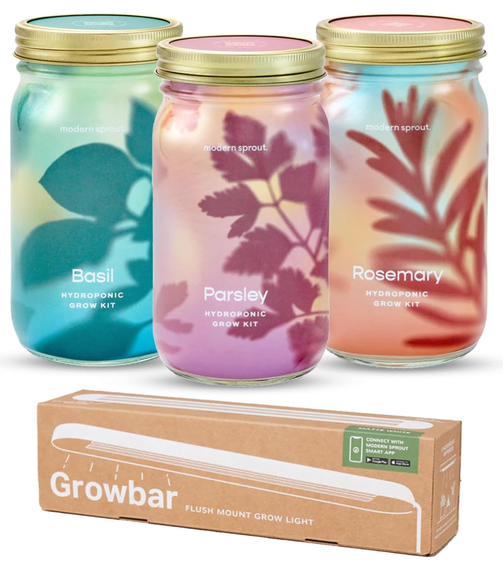 New! Garden Jars - Organic Herbs