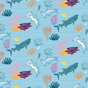 Sharks Gift Wrapping