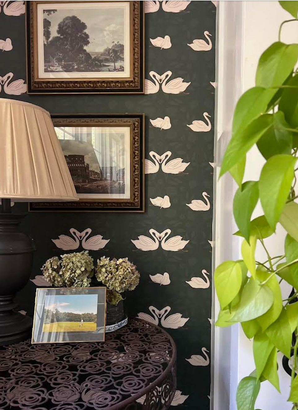 Sevan Wallpaper By Cassandra Zaniboni