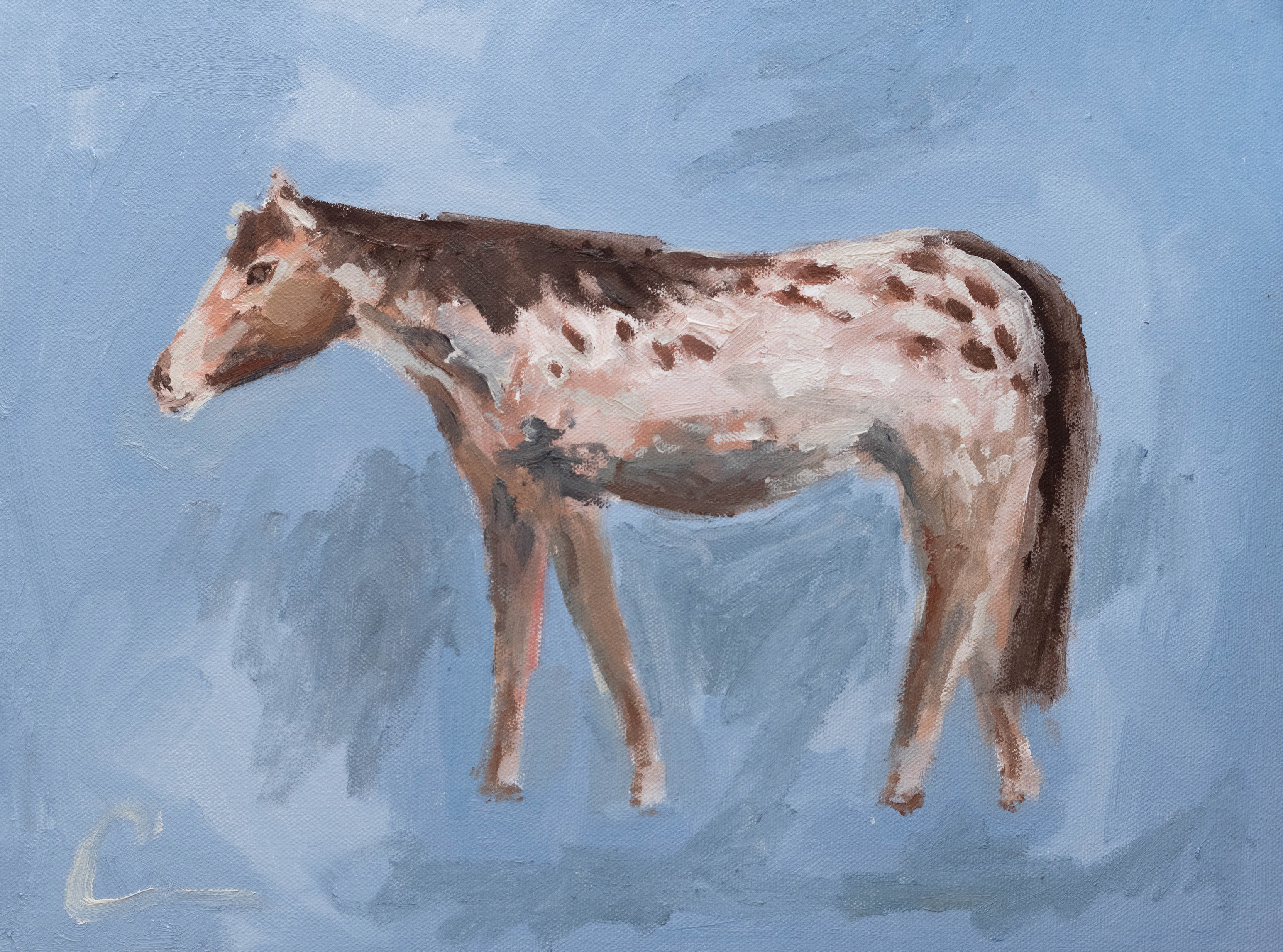 Paint Horse Print