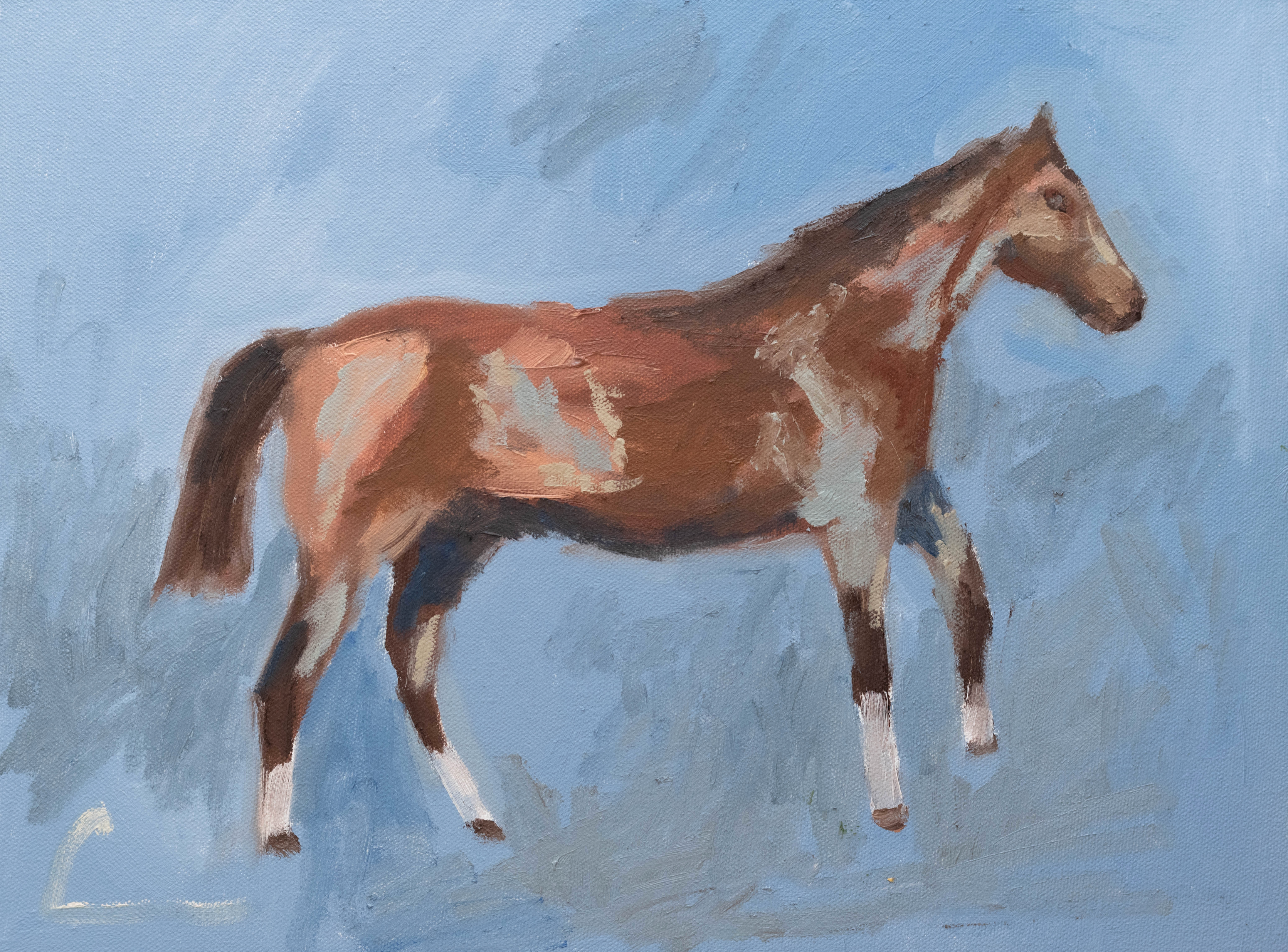 Brown Horse Print