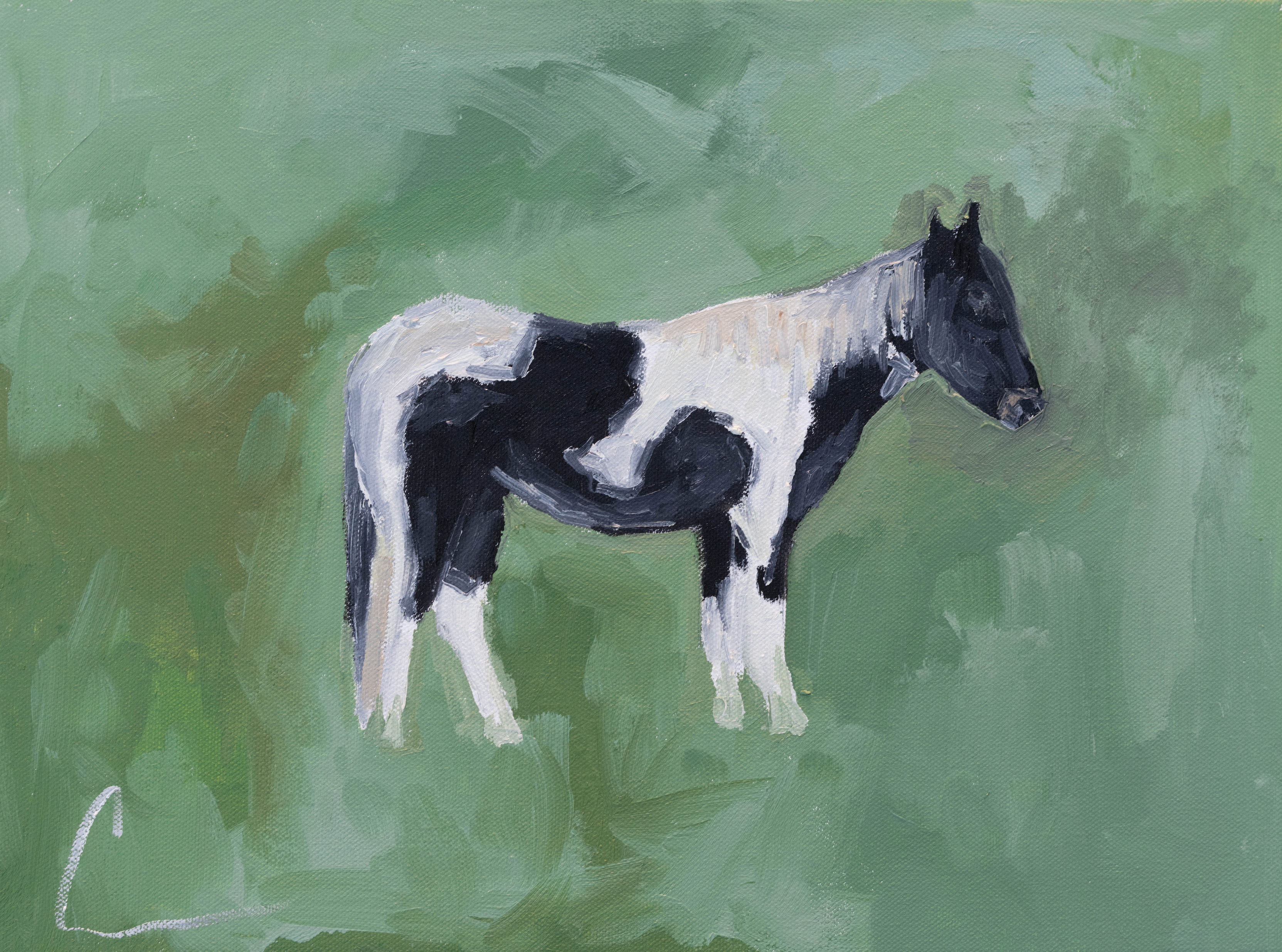 Black Spotted Horse Print
