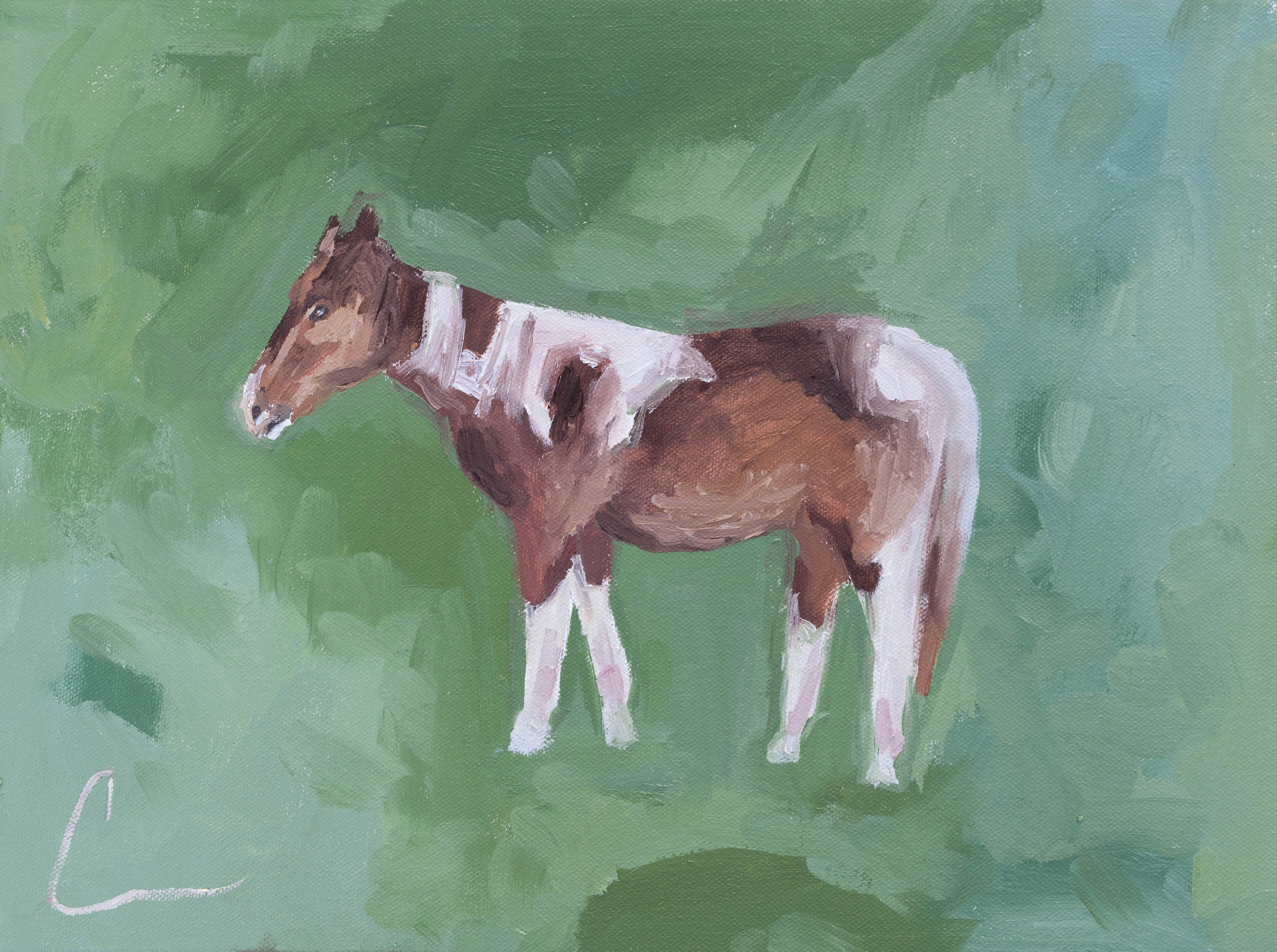 Brown Spotted Horse Print