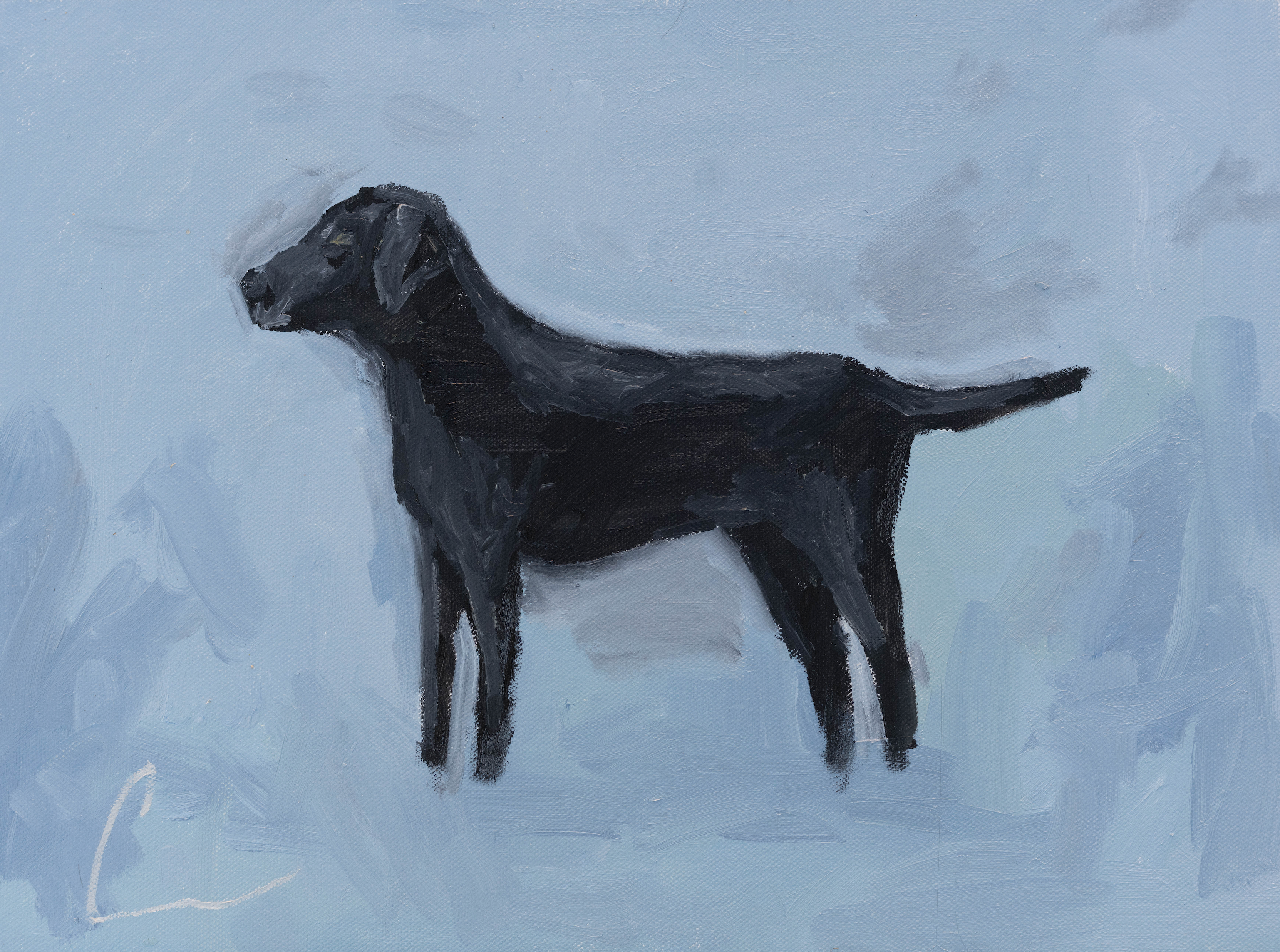 Black Lab Print