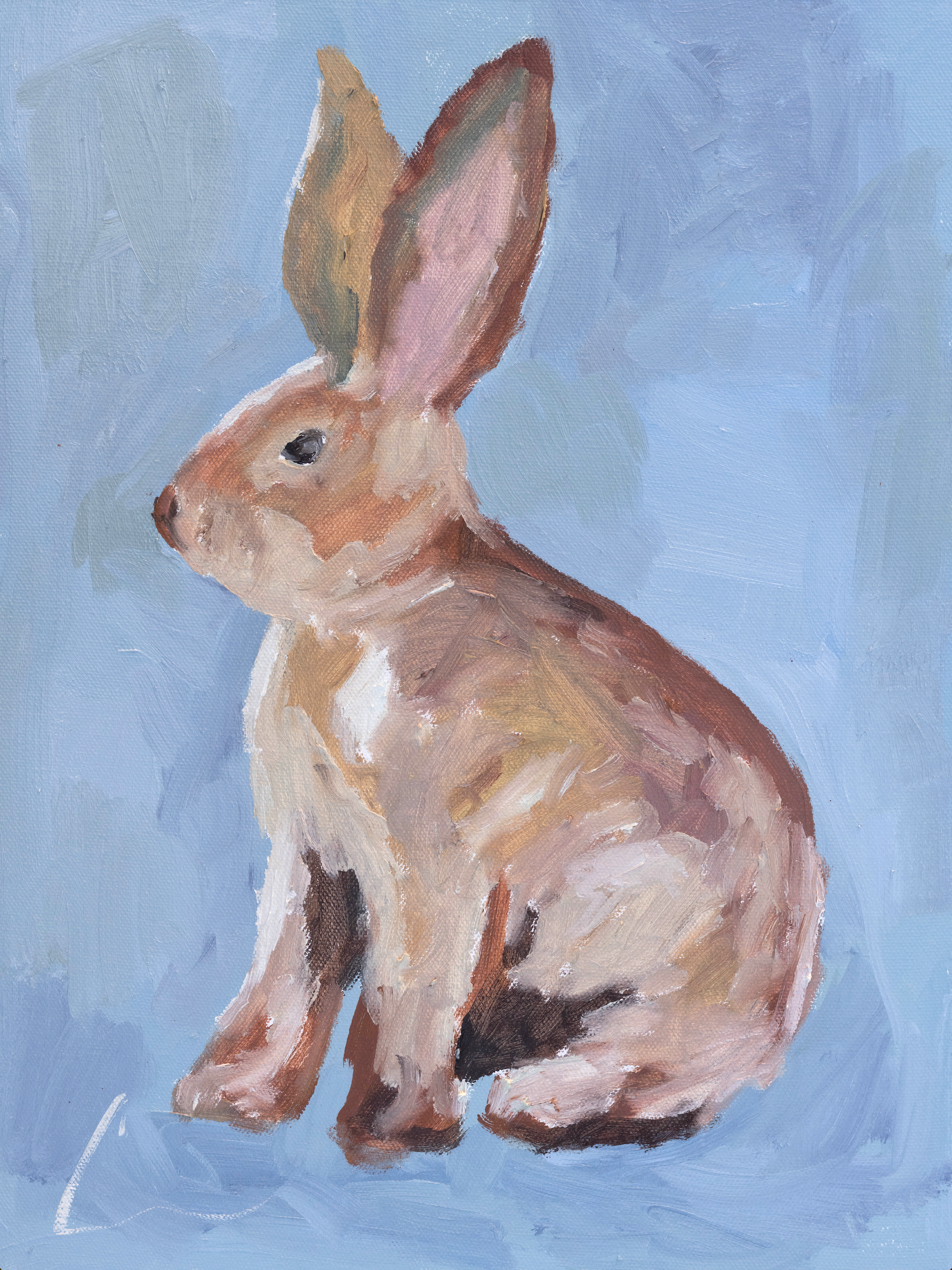 Brown Bunny Print