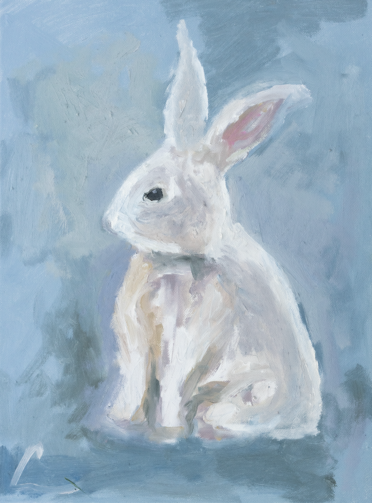 White Bunny Print