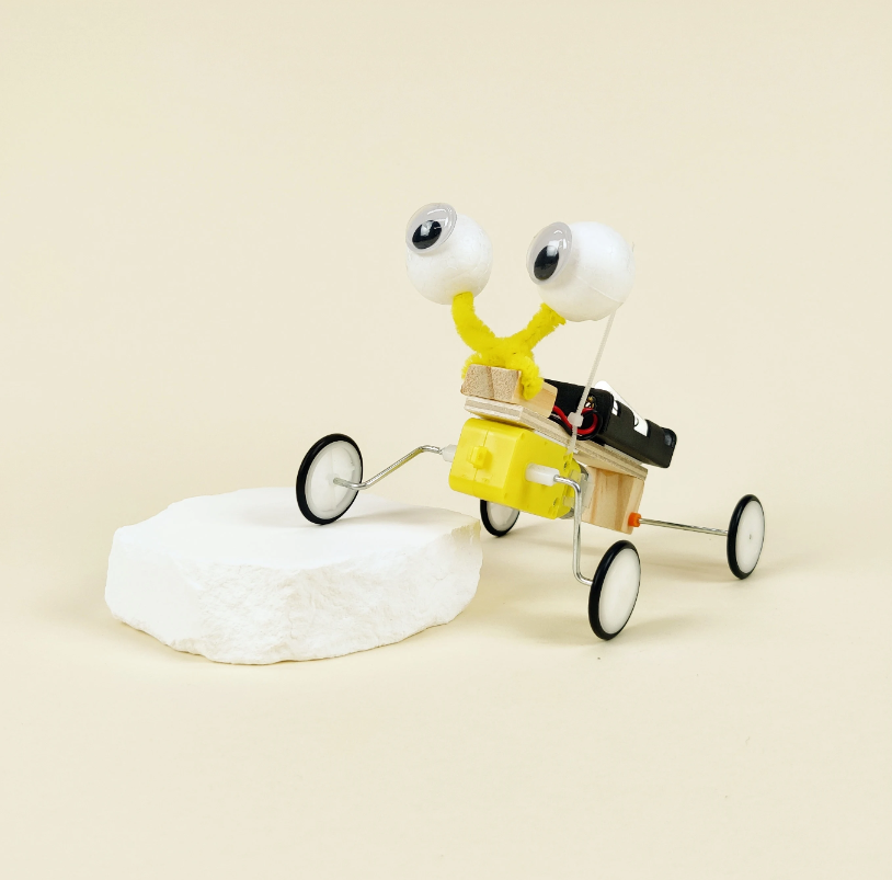 Bug Robot Diy Kit, Educational Stem Toy