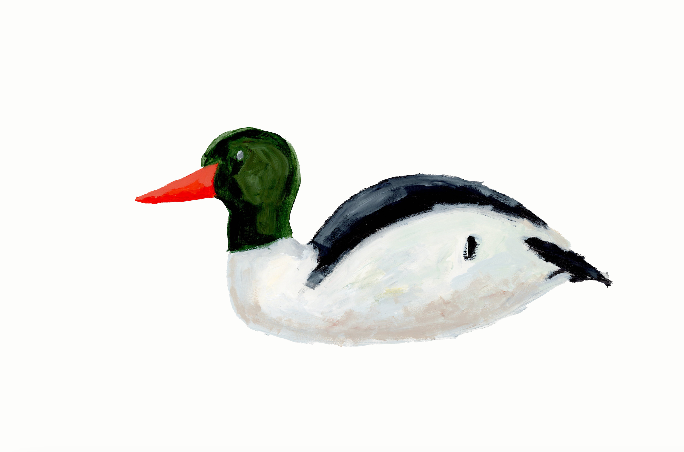 Duck 4 Print