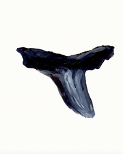 Shark Tooth 5 Print
