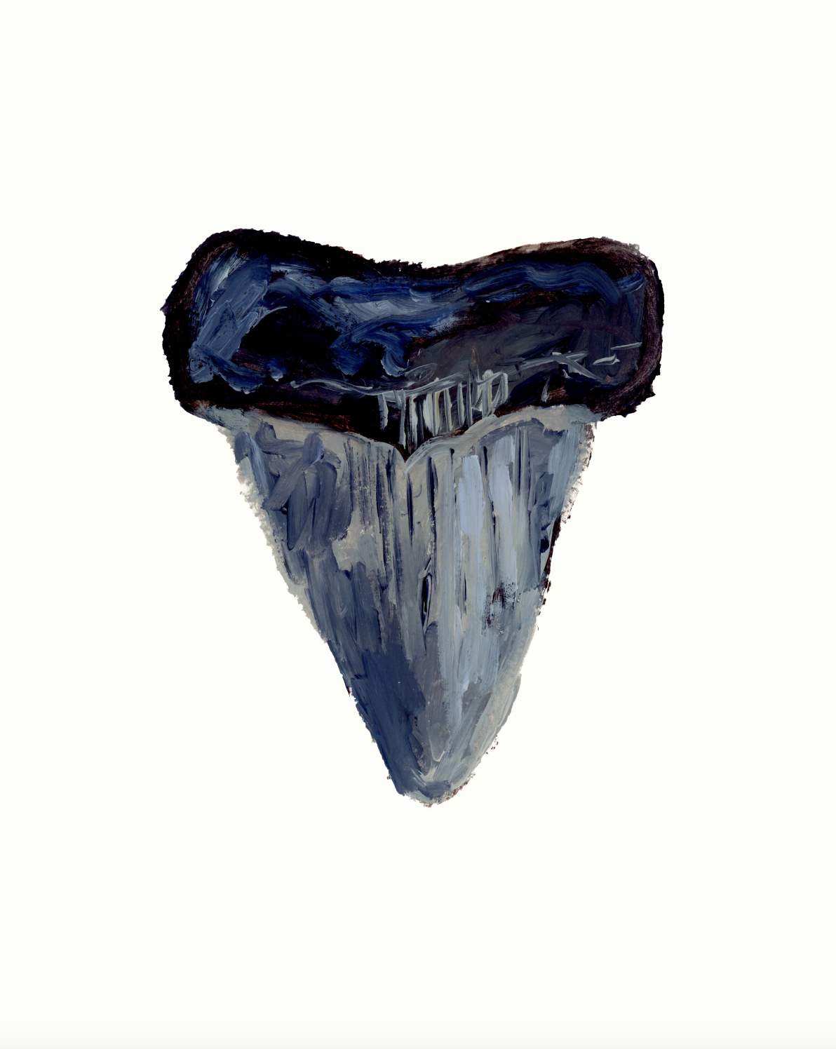 Shark Tooth 1 Print