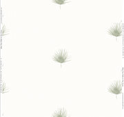 Mini Fan Palm Wallpaper