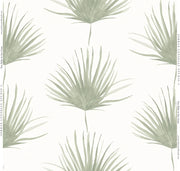Fan Palm Fabric Swatch