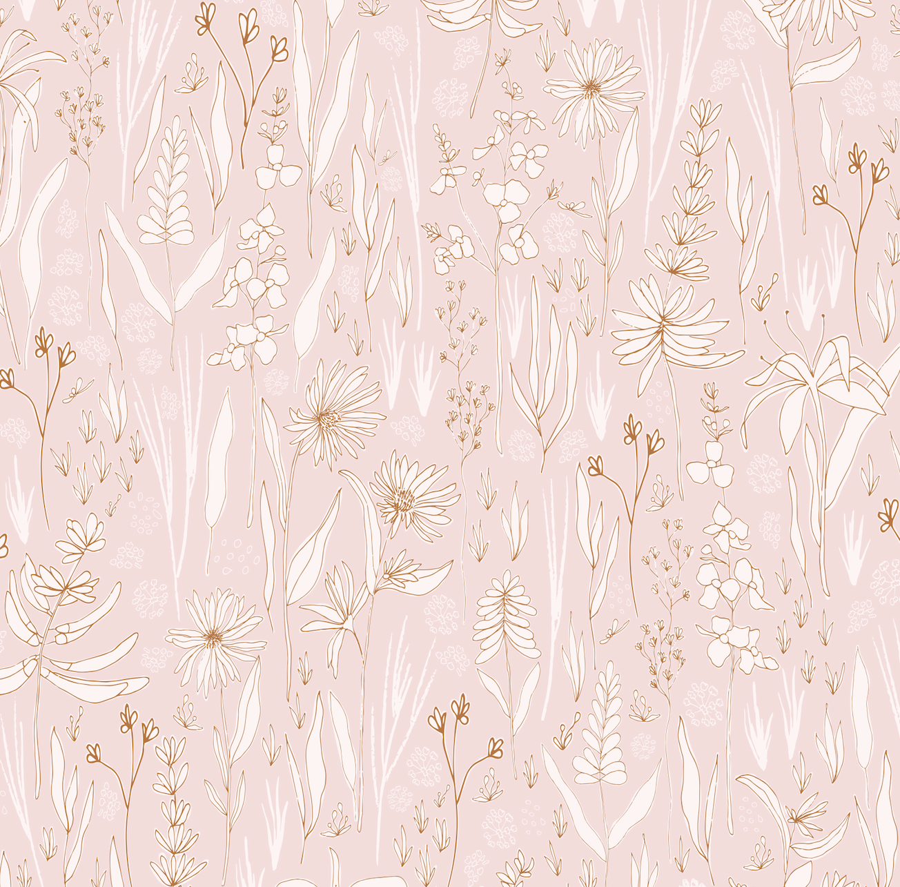 Rey Wallpaper By Antonela Fulir