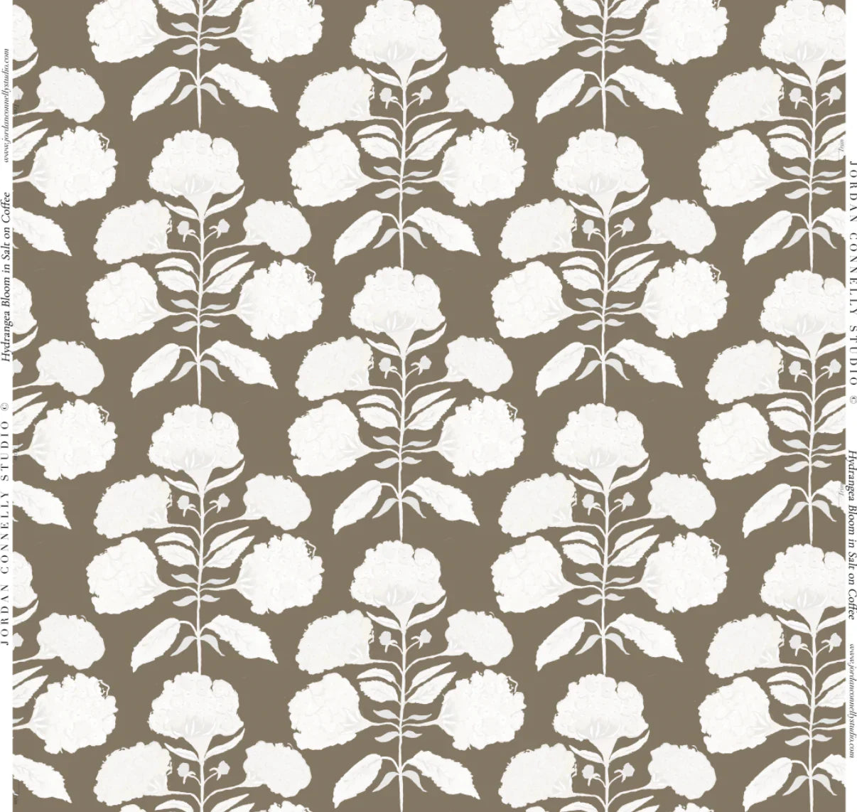 Hydrangea Bloom In Salt On Coffee Wallpaper