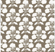 Hydrangea Bloom In Salt On Coffee Wallpaper