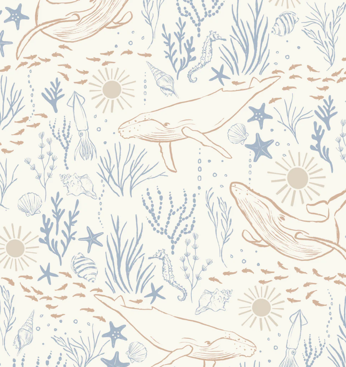 Boy Room Samples