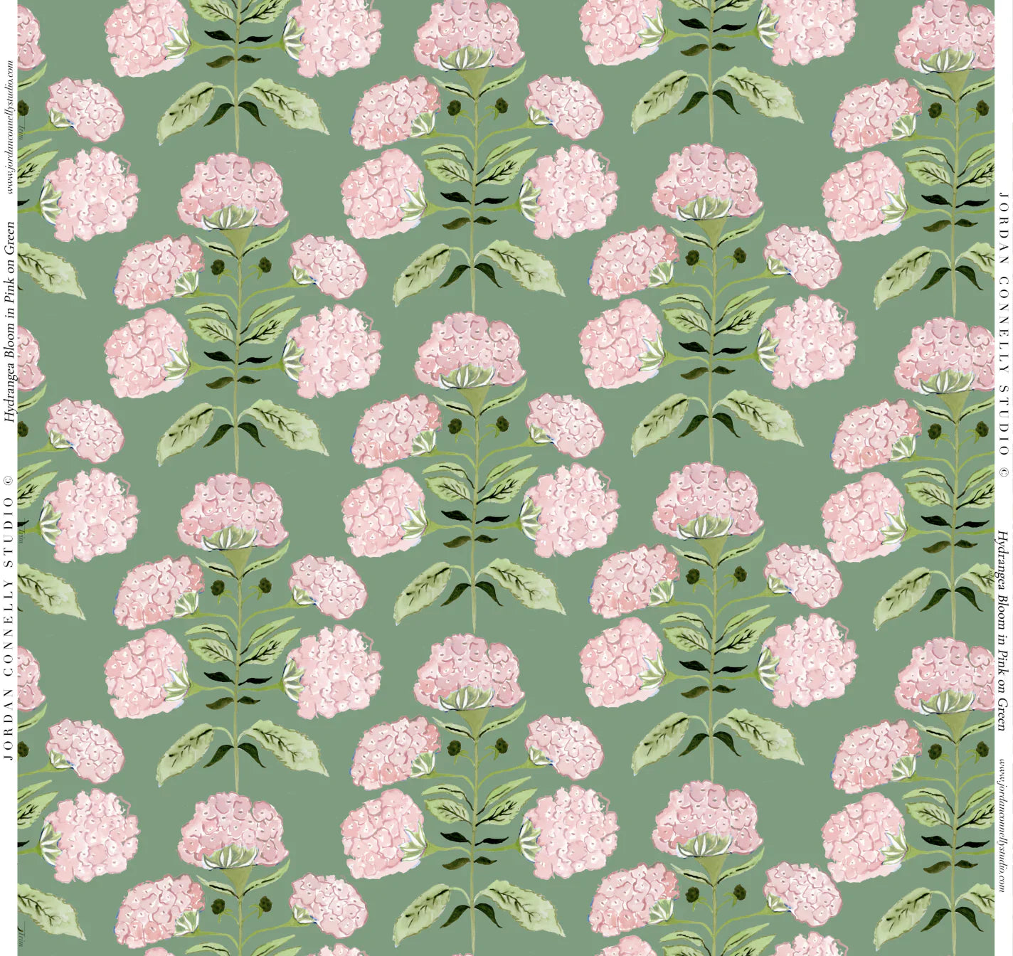 Hydrangea Bloom In Pink On Green Wallpaper