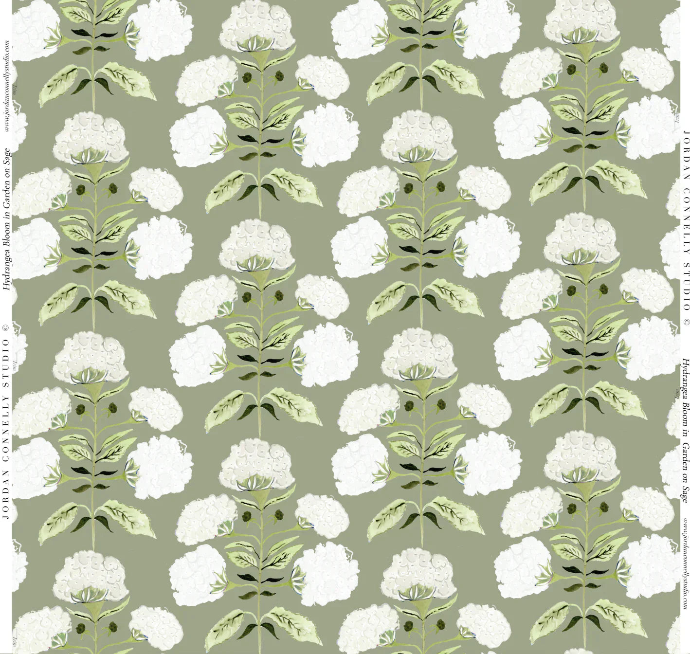 Hydrangea Bloom In Garden On Sage Fabric Swatch
