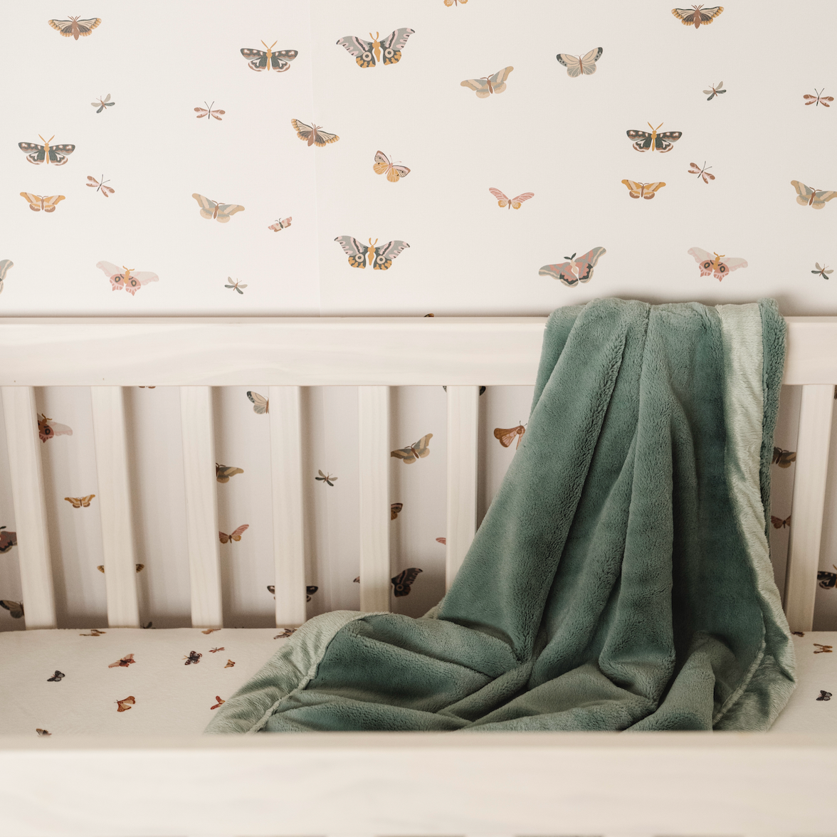 Butterfly Wallpaper By Saranoni