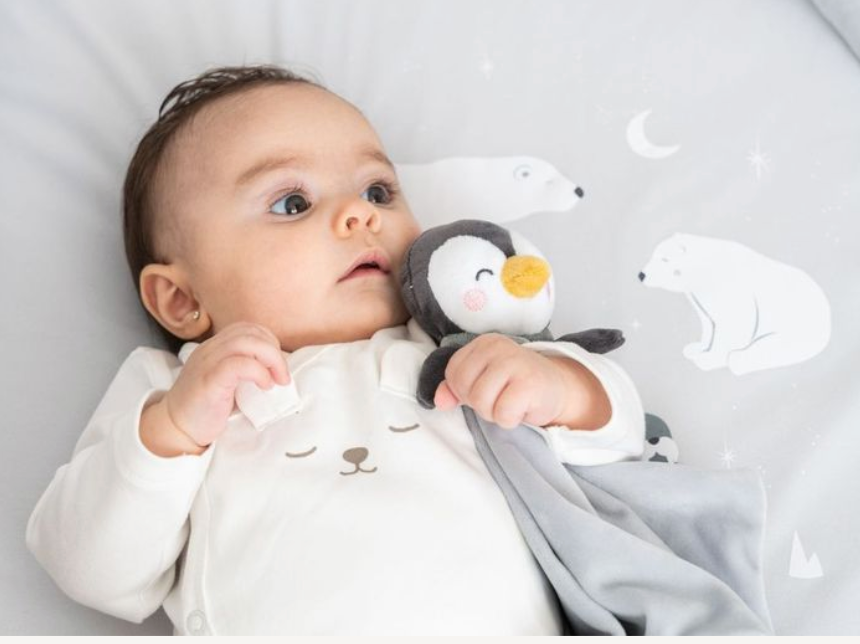 Polaris “Glacier Grey” Doudou