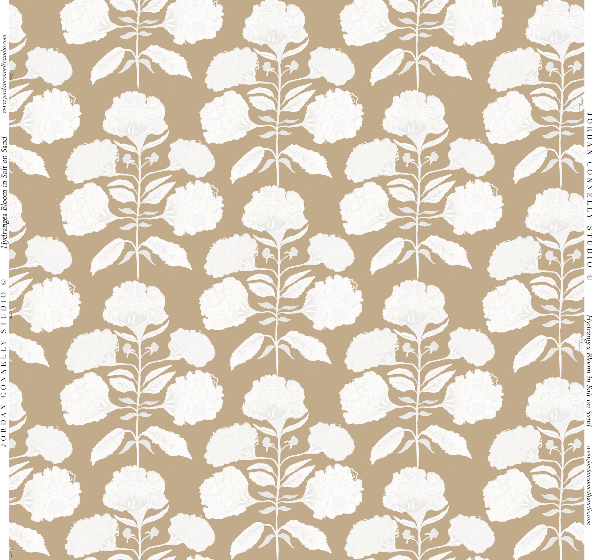 Hydrangea Bloom In Salt On Sand Wallpaper
