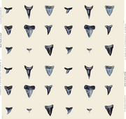 Shark Tooth In Sand Wallpaper