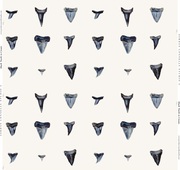 Shark Tooth In Cream Wallpaper