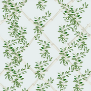 Bamboo Jasmine In Sky Wallpaper